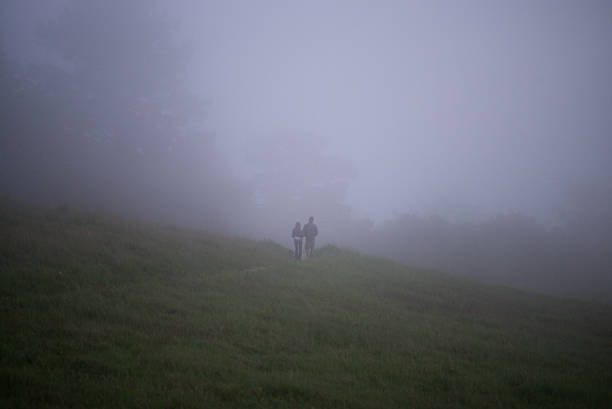 istock Walking through the fog and grass 488222209
