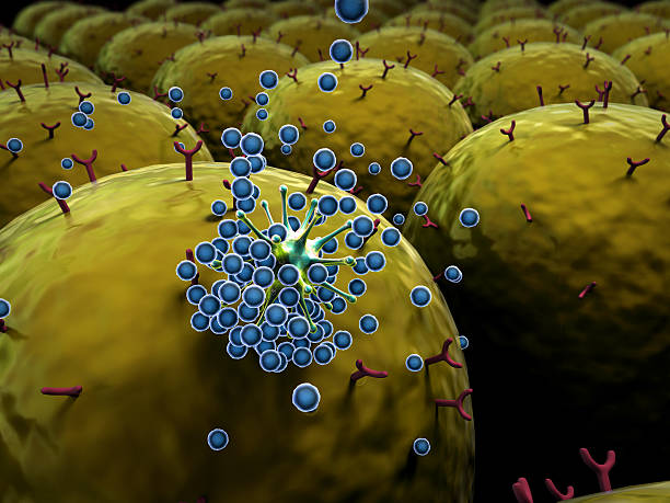 항체, 바이러스 - virus computer bug flu virus bacterium 뉴스 사진 이미지