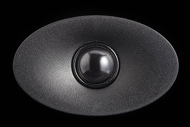 istock Closeup of black tweeter speaker 488223951