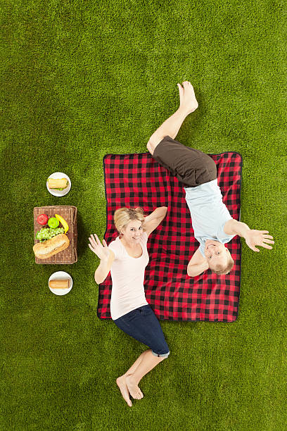 istock Happy young couple lying at picnic and waving hand 488224351