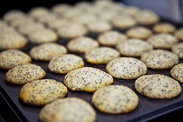 Homemade Lemon Poppyseed Muffin