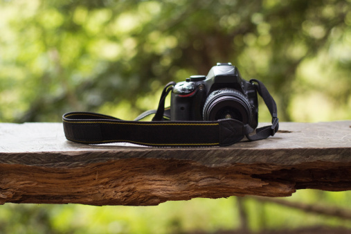 A camera in a bench in the forest