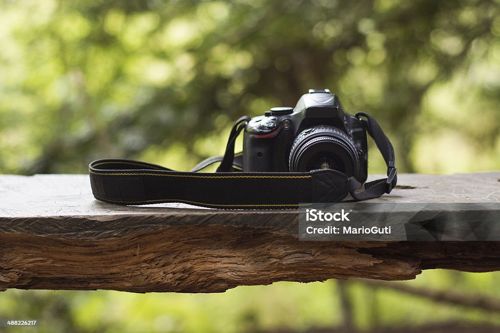 Camera in the forest A camera in a bench in the forest Strap Stock Photo