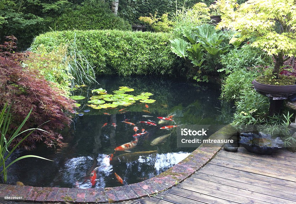10 Easy Koi Pond Ideas For A Stunning Backyard Oasis 10-easy-koi-pond-ideas-for-a-stunning-backyard-oasis