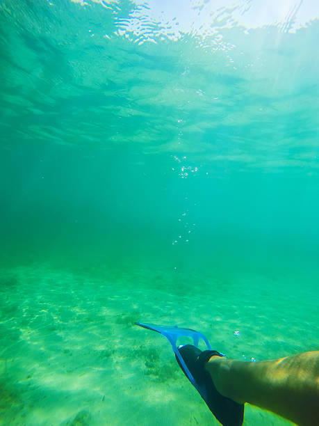 istock scuba fin in Sardinian sea 488239940