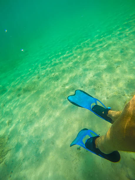 istock scuba fins underwater in Sardinia 488240114