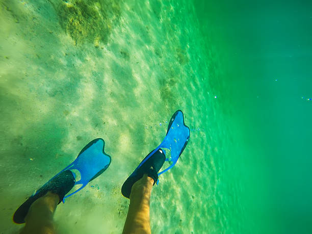 scuba fins underwater in Sardinia