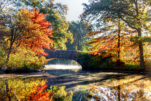 Autumn foliage in Franklin Park, a partially wooded 527-acre  parkland in the Jamaica Plain, Roxbury, and Dorchester neighborhoods of Boston, Massachusetts. Boston is known for its central role in American history,world-class educational institutions, cultural facilities, and champion sports franchises.