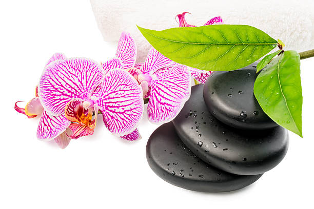 spa nature morte de pierres orchidée rayé noir avec gouttes - aromatherapy single flower flower holding photos et images de collection