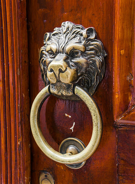 istock Old wooden door decorated with a lion head 488241192