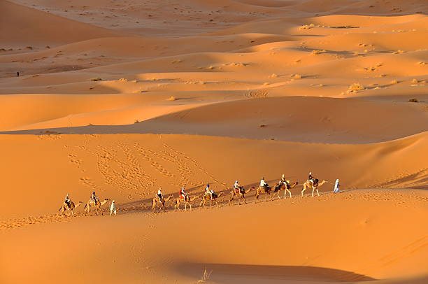 istock Camel caravan in Merzouga desert, Morocco 488241467