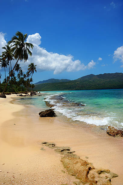 istock Virgin beach, Samana peninsula, Dominican Republic 488242259