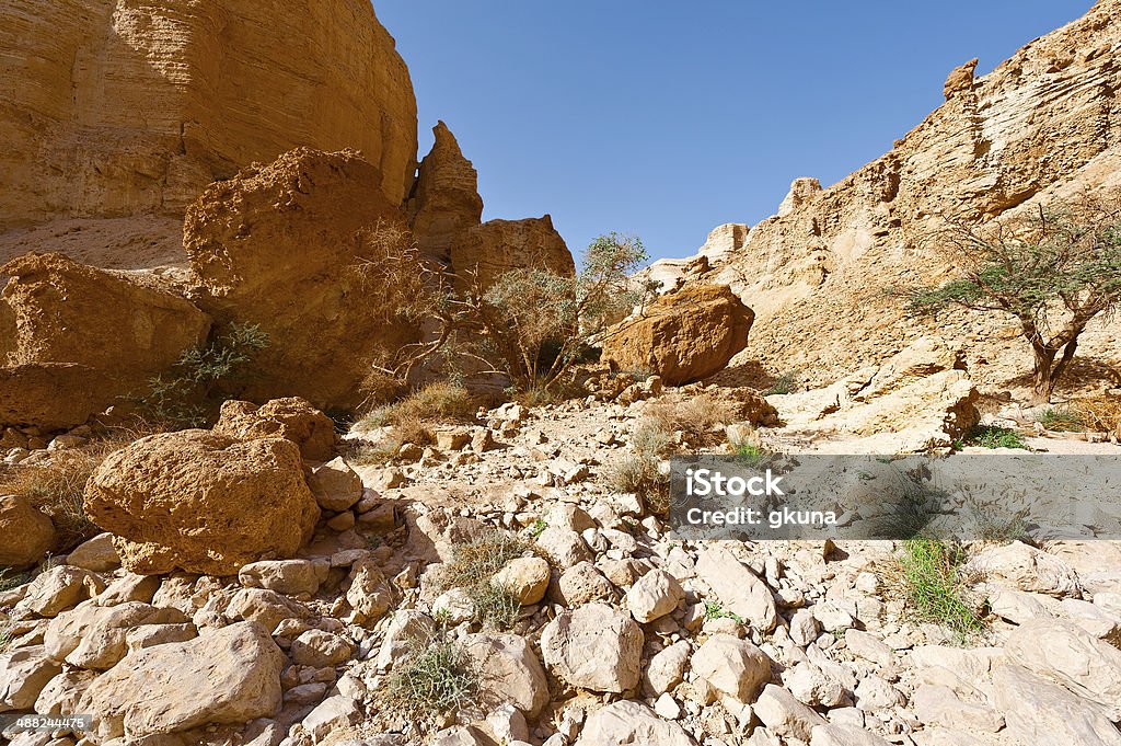 Riverbed Dry Riverbed in the Judean Desert Arid Climate Stock Photo