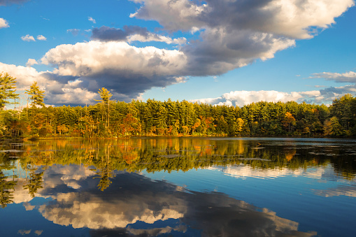 fall foliage with dramatic clouds reflected in water