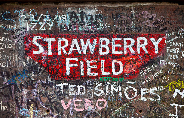 campo di fragole a liverpool - paul mccartney foto e immagini stock