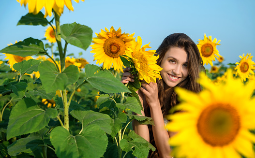 beautiful young woman with sunflower posing in the sunflowers field
