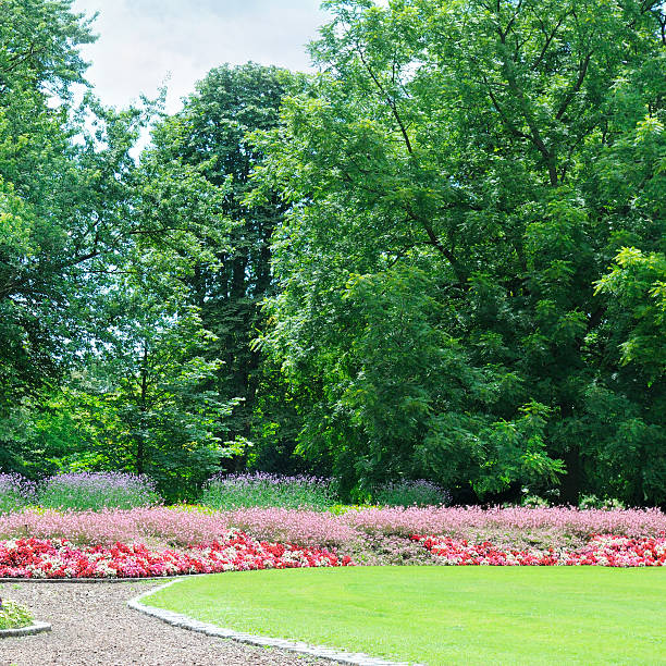 istock flowerbeds in the park 488246215