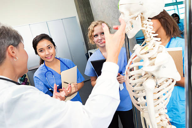 en período de lactancia o medical students learning sobre esqueleto humano - anatomy classroom human skeleton student fotografías e imágenes de stock