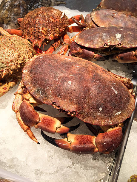 istock Bench of fish, crab 488248060