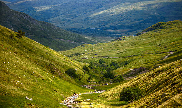 Green valley w Szkocji Highlands – zdjęcie