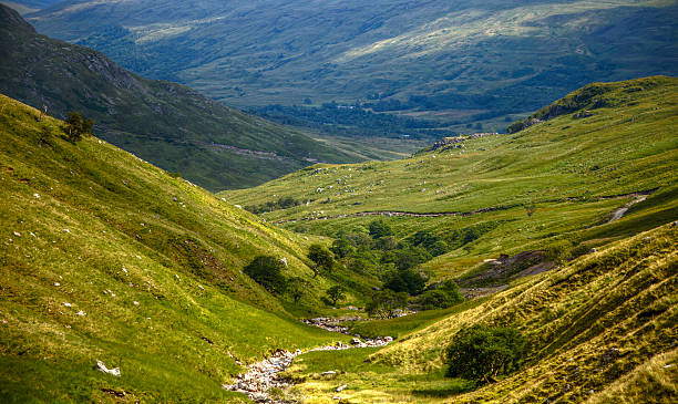 Cтоковое фото Зеленой долине в шотландские горы
