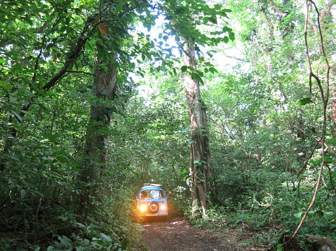 Catemaco, Veracruz, Mexico, July, 5th, 2015, VW Bus from 1973 driving through the jungle near Catemaco, Mexico