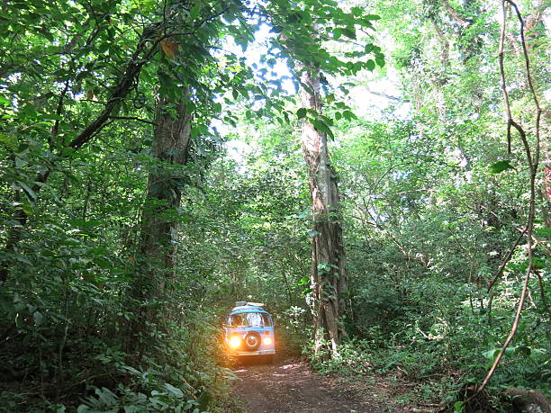 explorar a selva mexicana em uma antiga vw bus - dirtroad imagens e fotografias de stock