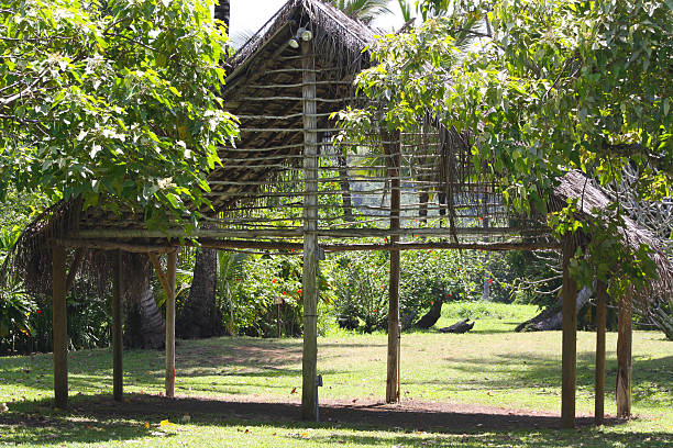 istock Kamokila Village, Kauai, Hawaii 488253166