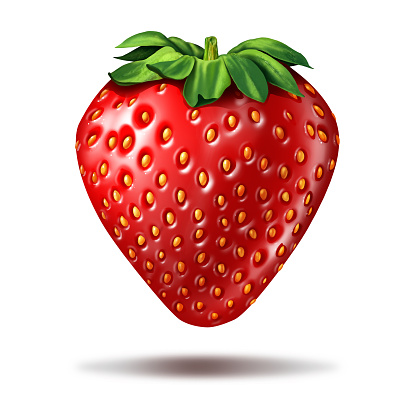 Strawberry fruit illustration on a white background with a shadow as a delicious ripe fresh organic berry with vibrant red color as a symbol for fresh market food or sweete natural ingredient.