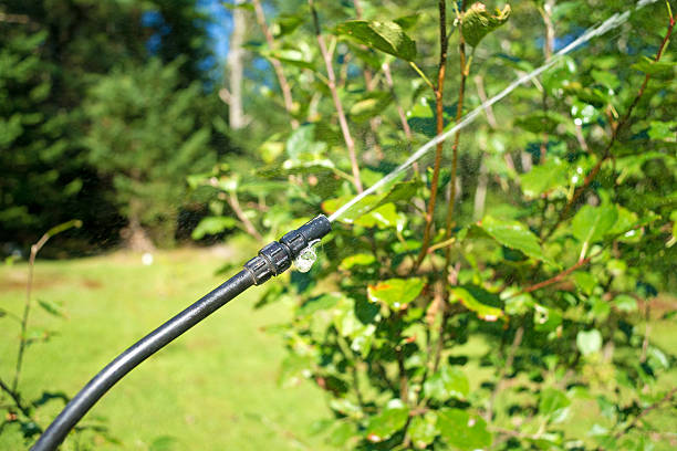 istock Pesticide sprayer on apple tree 488259137