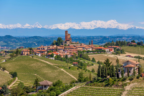 Small town on the hill surrounded by green vineyards as mountains with snowy peaks on background in Piedmont, Northern Italy.