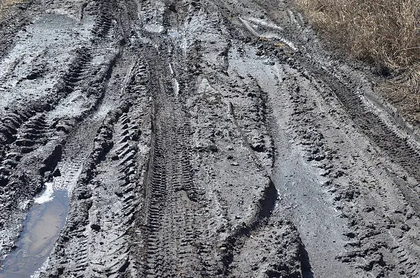 tire tracks in the mud