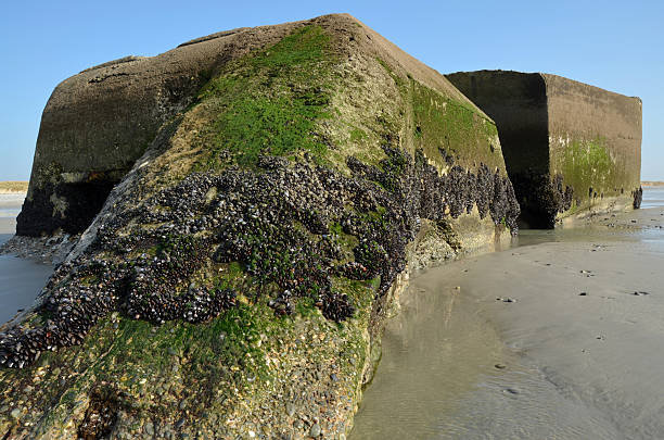 istock Bunker on the beach in Treguennec, Brittany 488259413