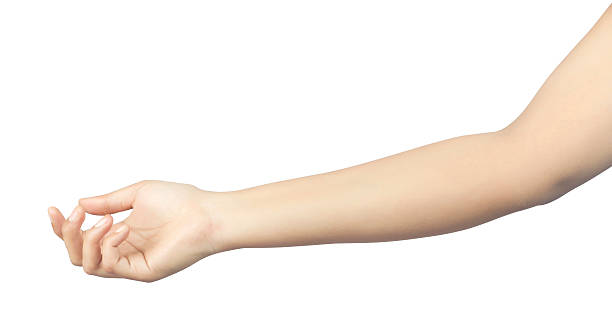 Open Female Hand To Hold Something Stock Photo - Download Image Now -  Women, White Background, Cut Out - iStock