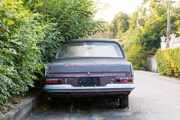 abandoned car parked beside the tree stock photo