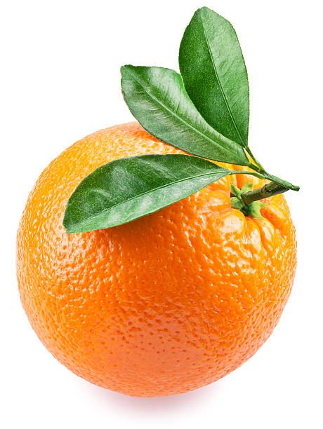 istock Orange with leaves on a white background. 488261943