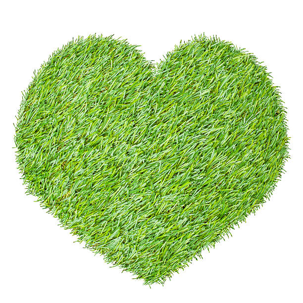istock heart shape from the green grass, isolated on white 488262339