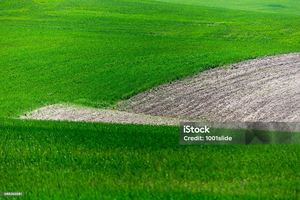 Wave pattern wheat plant [url=http://www.istockphoto.com/search/lightbox/13511051/#182f6ffa] "See more FiELDs LANDSCAPE images"

[url=file_closeup?id=25505580][img]/file_thumbview/25505580/1[/img][/url] [url=file_closeup?id=42940240][img]/file_thumbview/42940240/1[/img][/url] [url=file_closeup?id=24409165][img]/file_thumbview/24409165/1[/img][/url] [url=file_closeup?id=23510373][img]/file_thumbview/23510373/1[/img][/url] [url=file_closeup?id=41224384][img]/file_thumbview/41224384/1[/img][/url] [url=file_closeup?id=39650178][img]/file_thumbview/39650178/1[/img][/url] [url=file_closeup?id=41073780][img]/file_thumbview/41073780/1[/img][/url]
[url=file_closeup?id=24400989][img]/file_thumbview/24400989/1[/img][/url] [url=file_closeup?id=36505780][img]/file_thumbview/36505780/1[/img][/url] [url=file_closeup?id=24140093][img]/file_thumbview/24140093/1[/img][/url] [url=file_closeup?id=41064346][img]/file_thumbview/41064346/1[/img][/url] [url=file_closeup?id=16109454][img]/file_thumbview/16109454/1[/img][/url] [url=file_closeup?id=24419787][img]/file_thumbview/24419787/1[/img][/url] [url=file_closeup?id=18732562][img]/file_thumbview/18732562/1[/img][/url] [url=file_closeup?id=43028682][img]/file_thumbview/43028682/1[/img][/url] [url=file_closeup?id=25485834][img]/file_thumbview/25485834/1[/img][/url] [url=file_closeup?id=25485939][img]/file_thumbview/25485939/1[/img][/url] [url=file_closeup?id=23549726][img]/file_thumbview/23549726/1[/img][/url] [url=file_closeup?id=39847926][img]/file_thumbview/39847926/1[/img][/url] [url=file_closeup?id=25228928][img]/file_thumbview/25228928/1[/img][/url] [url=file_closeup?id=24772427][img]/file_thumbview/24772427/1[/img][/url] [url=file_closeup?id=25263994][img]/file_thumbview/25263994/1[/img][/url] [url=file_closeup?id=39109880][img]/file_thumbview/39109880/1[/img][/url] [url=file_closeup?id=25489256][img]/file_thumbview/25489256/1[/img][/url] Agricultural Field Stock Photo