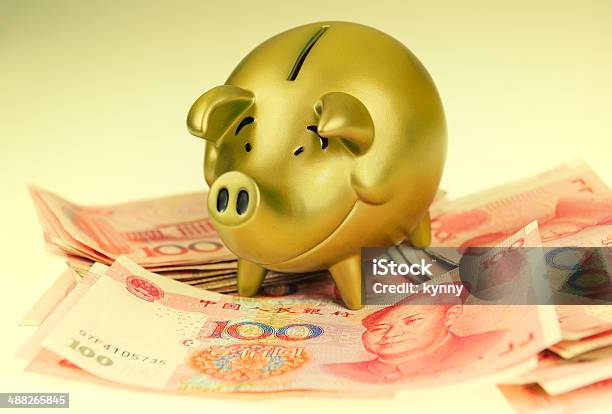 Piggy Bank And Onehundred Rmb Bill Stock Photo - Download Image Now - Bank Deposit Slip, Chinese Yuan Note, Animal