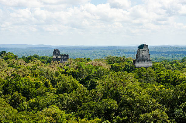 istock View of Tikal  Ruins and pyramids above the trees 488266509
