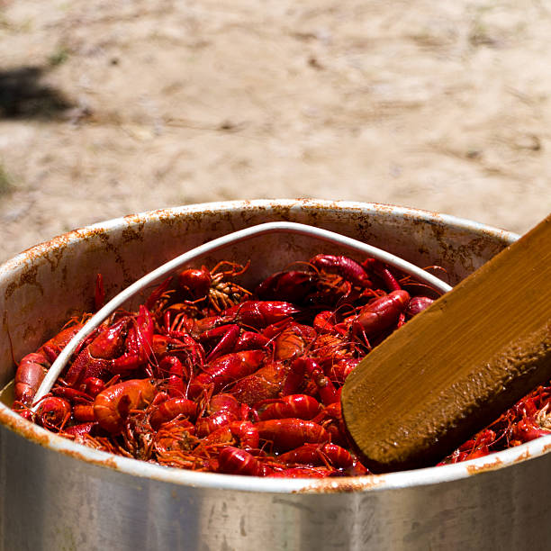 empty Crawfish shells after eating