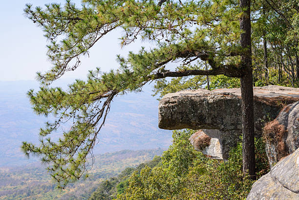 istock Lom Sak cliff at Phu Kra Dueng in Thailand. 488270486