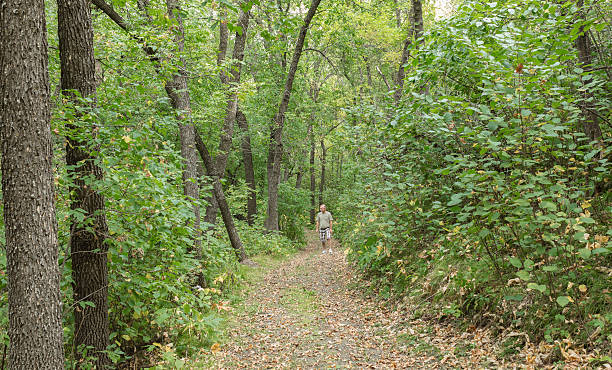 istock man walking along a heavily wooded trail in summer time 488271422
