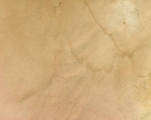 istock Paper Texture Stock Image Background Blank Grunge Old Parchment 488271784