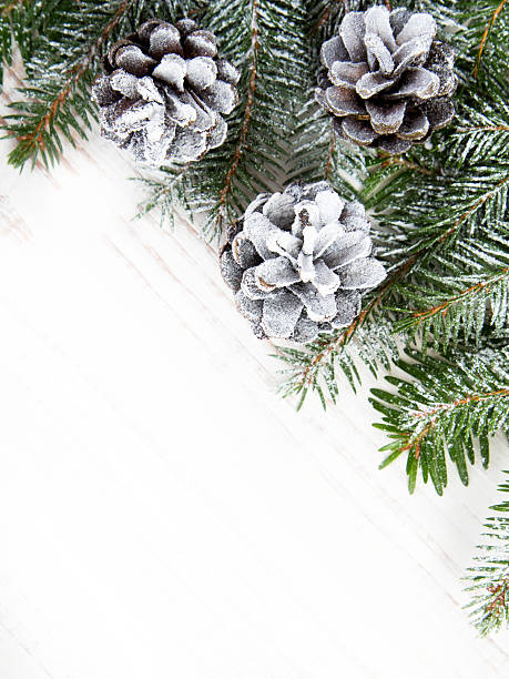 istock Christmas background with decoration with cones and twigs 488271834