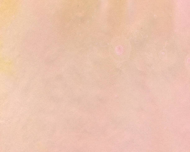 istock Paper Texture Stock Image Background Blank Grunge Old Parchment 488272448