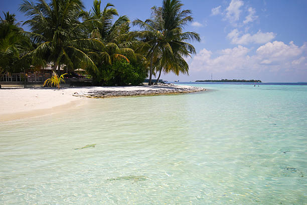 istock View of vilamendhoo island at Maldives 488273878