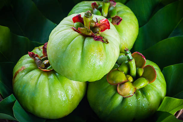 Still life with fresh garcinia cambogia on wooden background stock photo