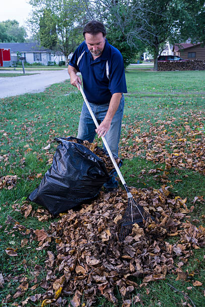 istock Homeowner Raking Leaves Into A Pile 488275448