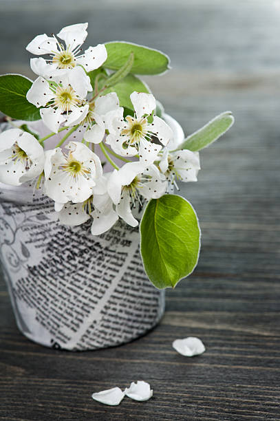 Cherry blossom and petals on a wooden background
